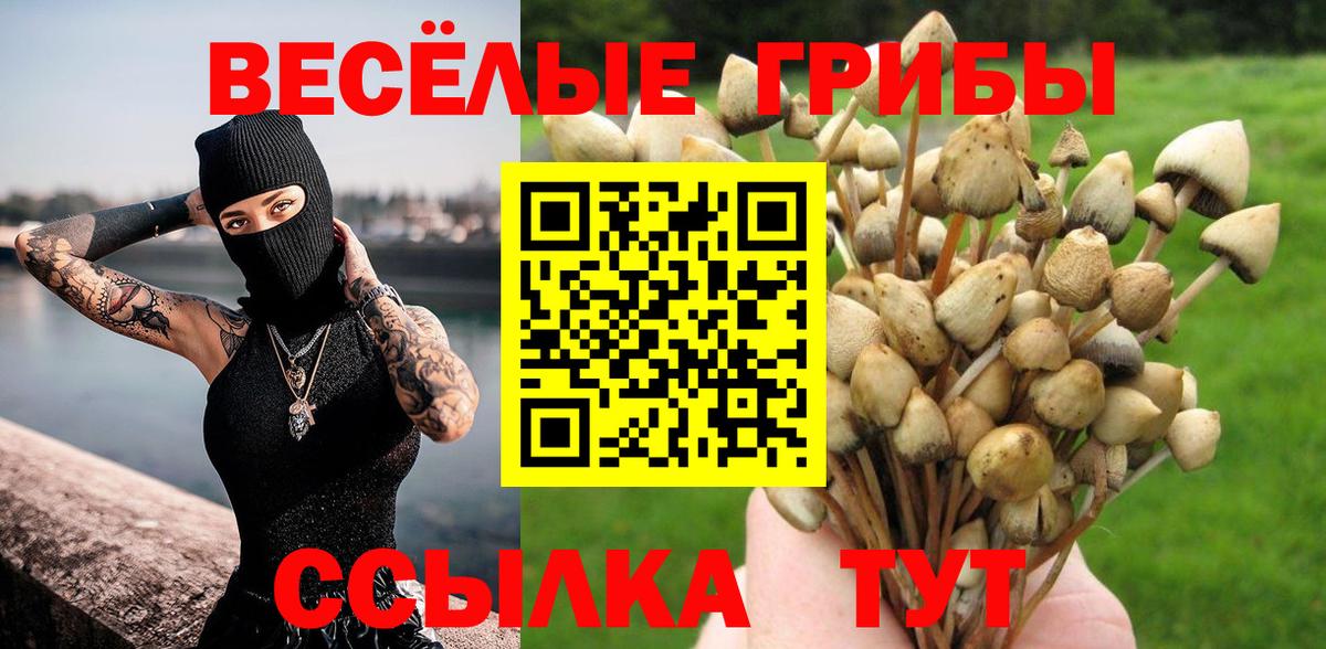 Галлюциногенные грибы Psilocybine cubensis Джанкой