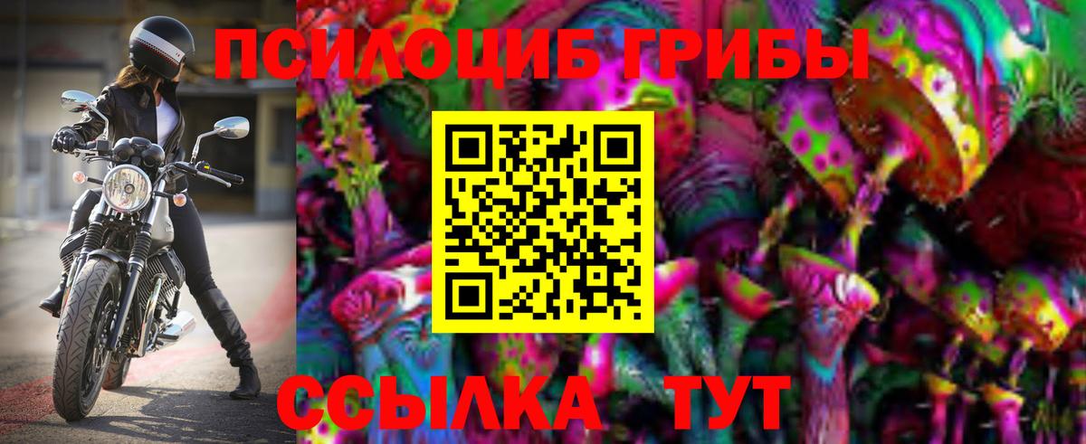 как найти наркотики  Джанкой  Псилоцибиновые грибы мухоморы 