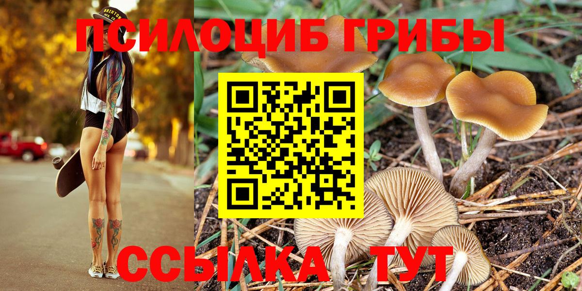 Джанкой  Галлюциногенные грибы Psilocybine cubensis  Вход с VPN 